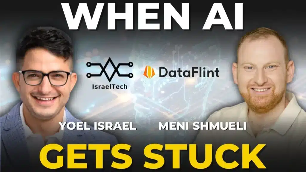 Meni Shmueli_DataFlint